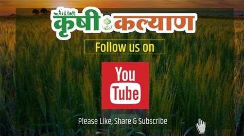 kalyan channel 2.